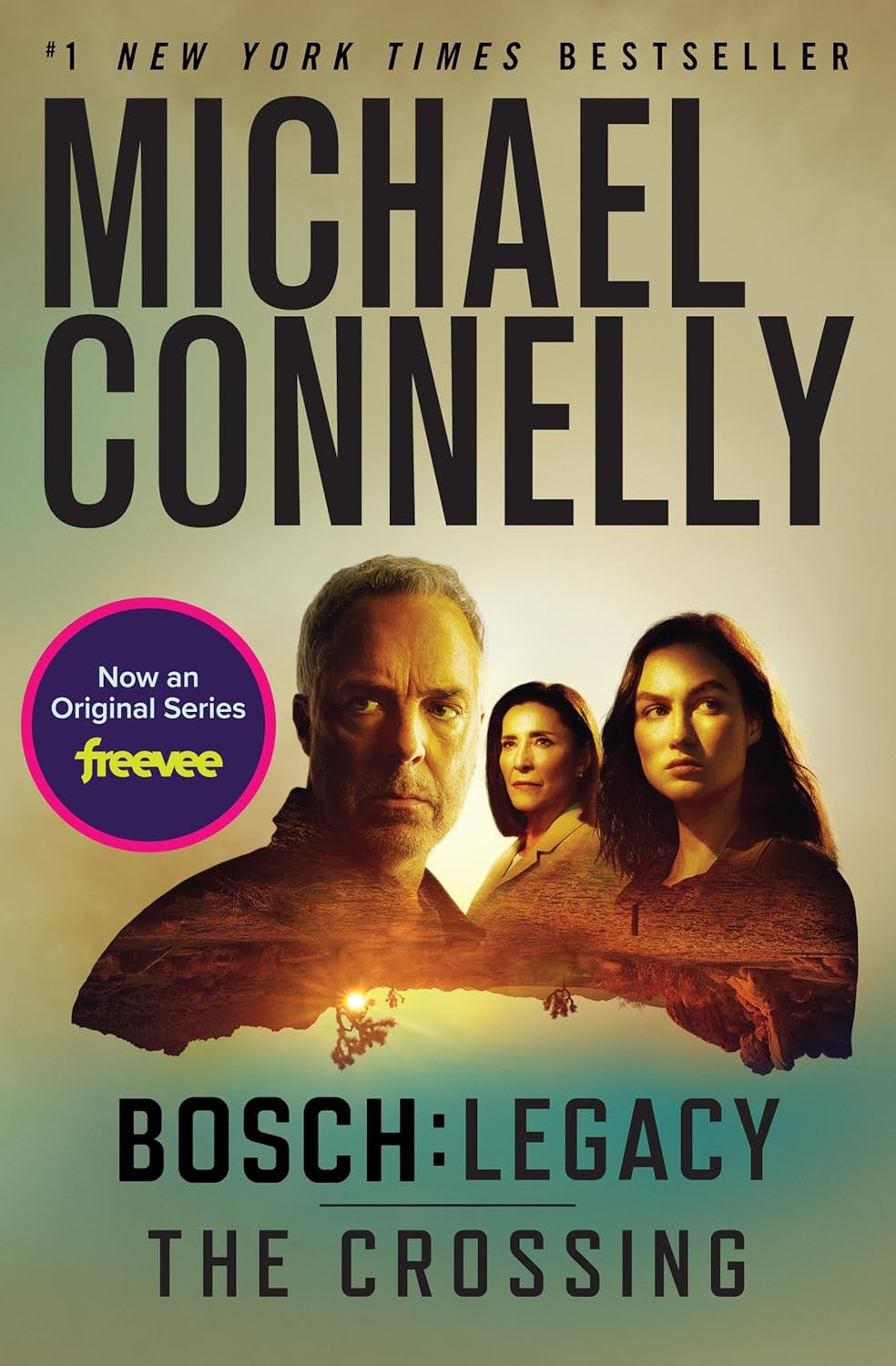 Livre The Crossing - Michael Connelly (Livre d'occasion) - ISBN 1538742551