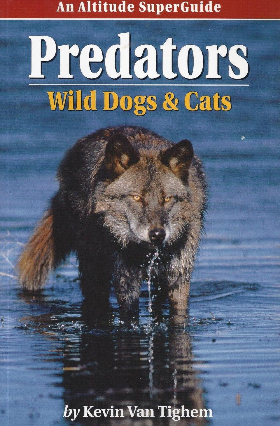 Predators, Wild Dogs & Cats - Kevin Van Tighem