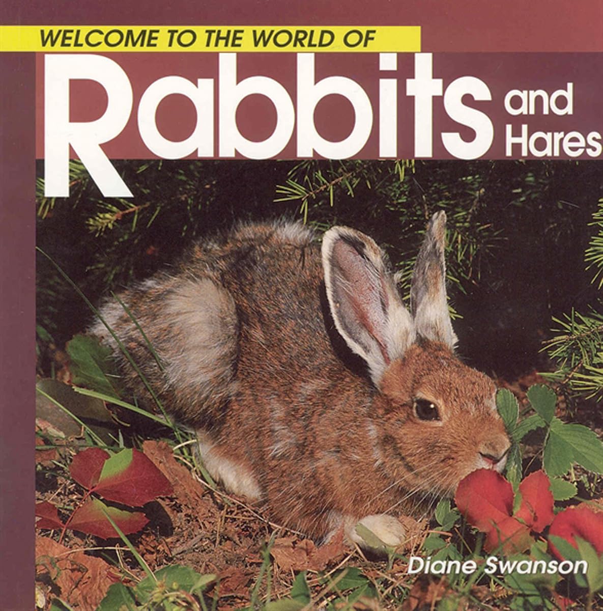 Livre Welcome to the World of Rabbits and Hares - Diane Swanson (Livre d'occasion) - ISBN 1552850242