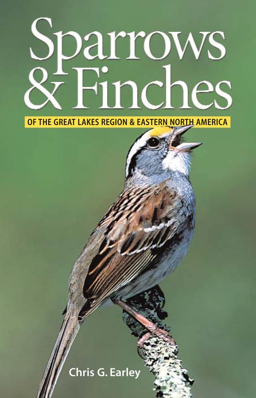Livre Sparrows and Finches of the Great Lakes Region & Eastern North America - Chris Earley (Livr...