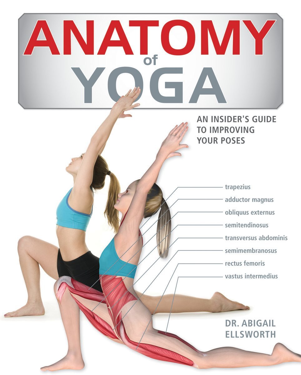 Livre Anatomy of Yoga : An Instructor's Inside Guide to Improving Your Poses - Abigail Ellsworth ...