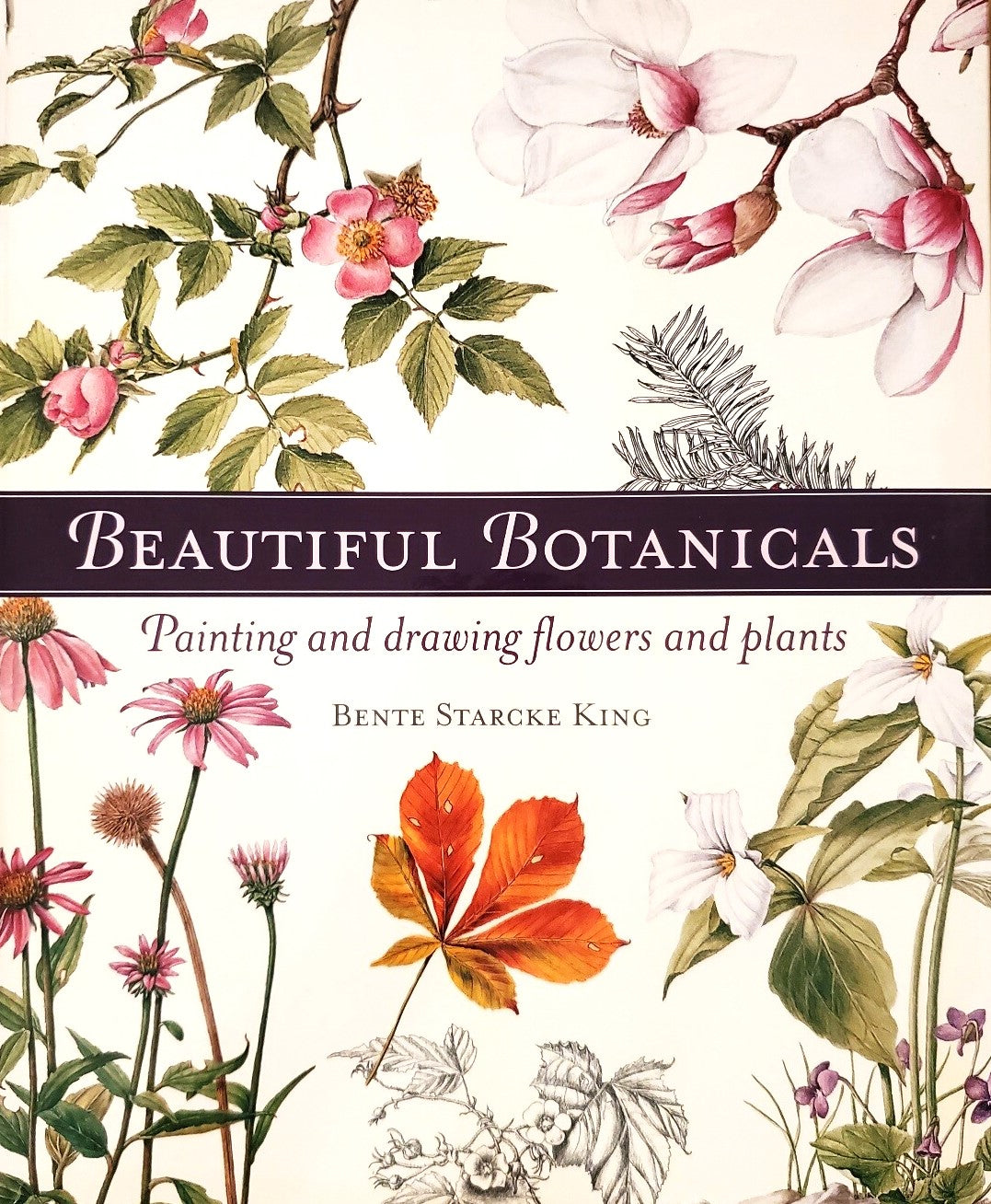 Livre Beauthing Botanicals : Painting And Drawing Flowers And Plants - Bente Starcke King (Livre ...