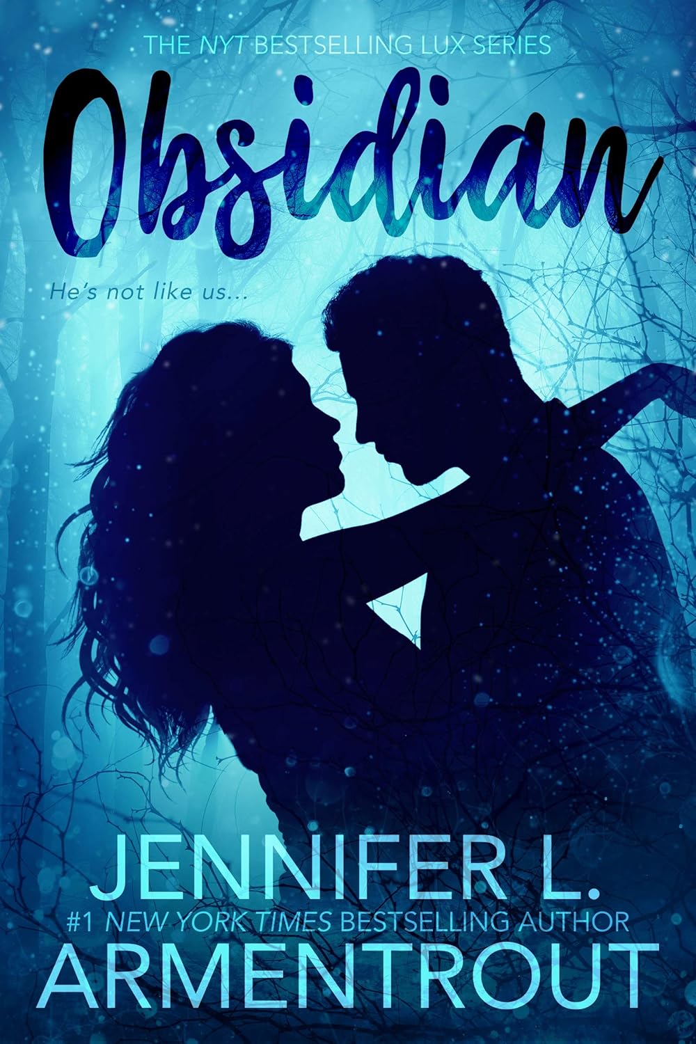 Livre Obsidian - Jennifer L. Armentrout (Livre d'occasion) - ISBN 1620610078
