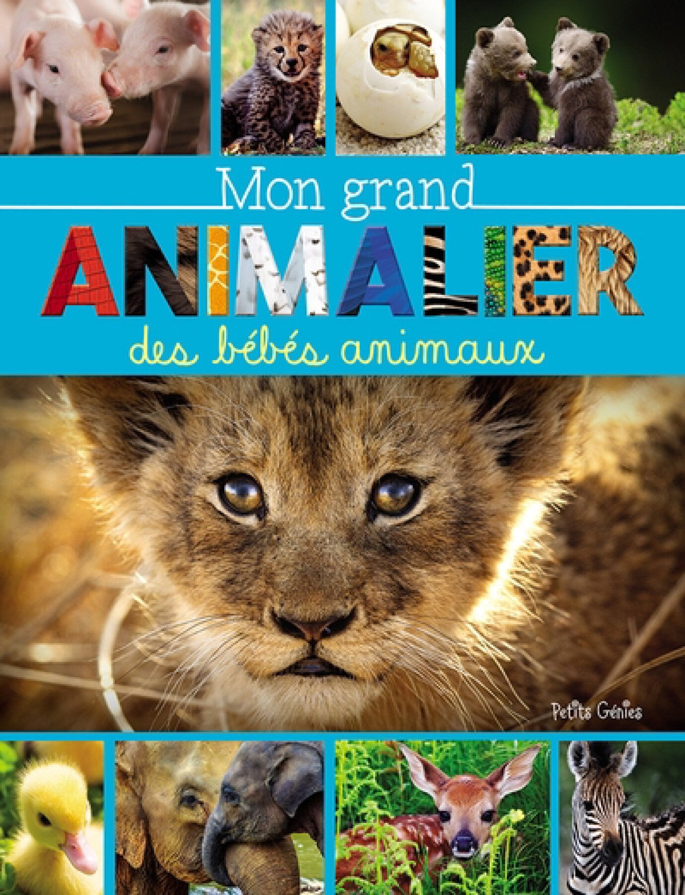Livre Mon grand animalier des bébés animaux (Livre d'occasion) - ISBN 1773881736