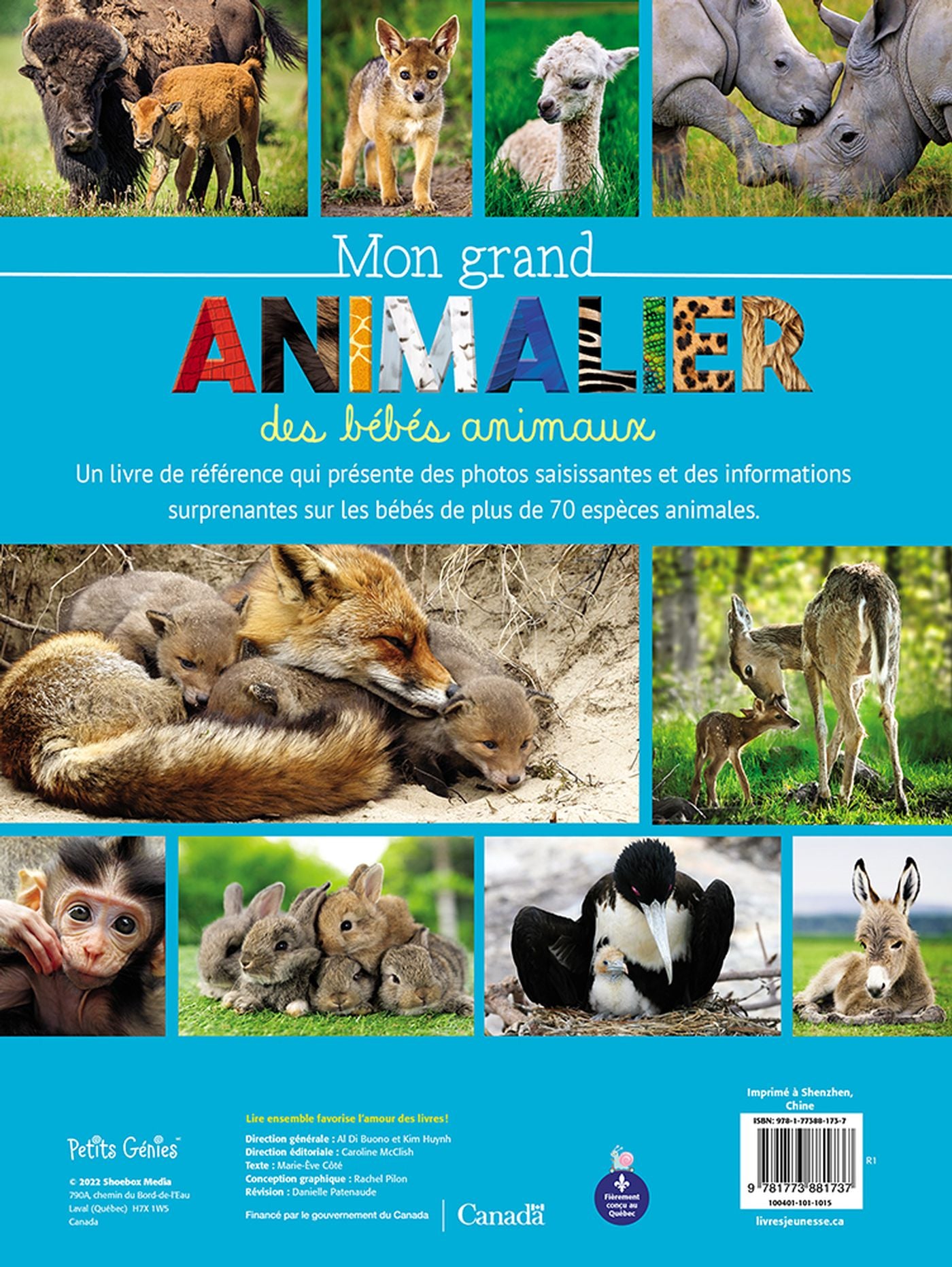 Livre Mon grand animalier des bébés animaux (Livre d'occasion) - ISBN 1773881736