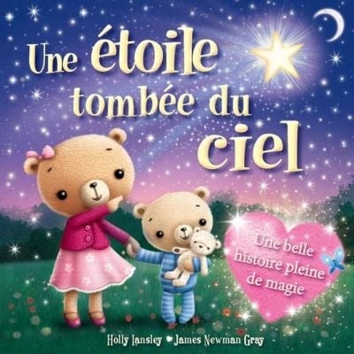 Livre Une étoile tombée du ciel - Holly Lansley (Livre d'occasion)