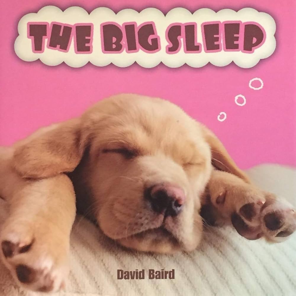The Big Sleep - David Baird