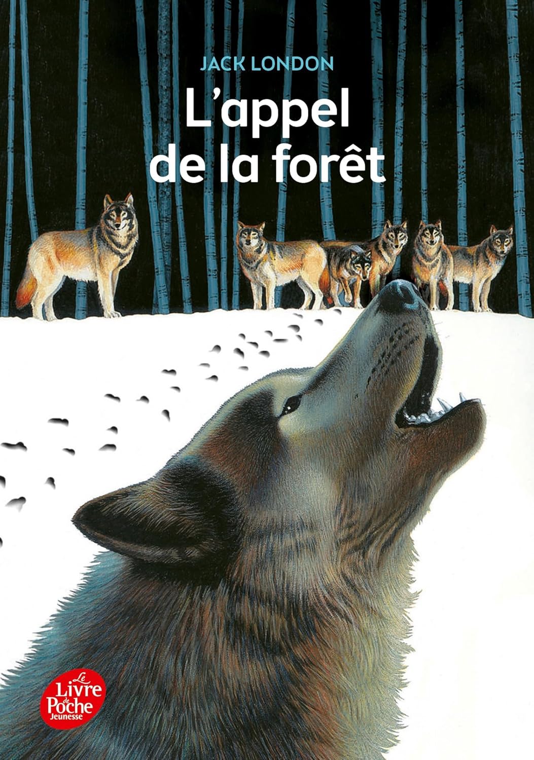 Livre L'appel de la forêt - Jack London (Livre d'occasion)