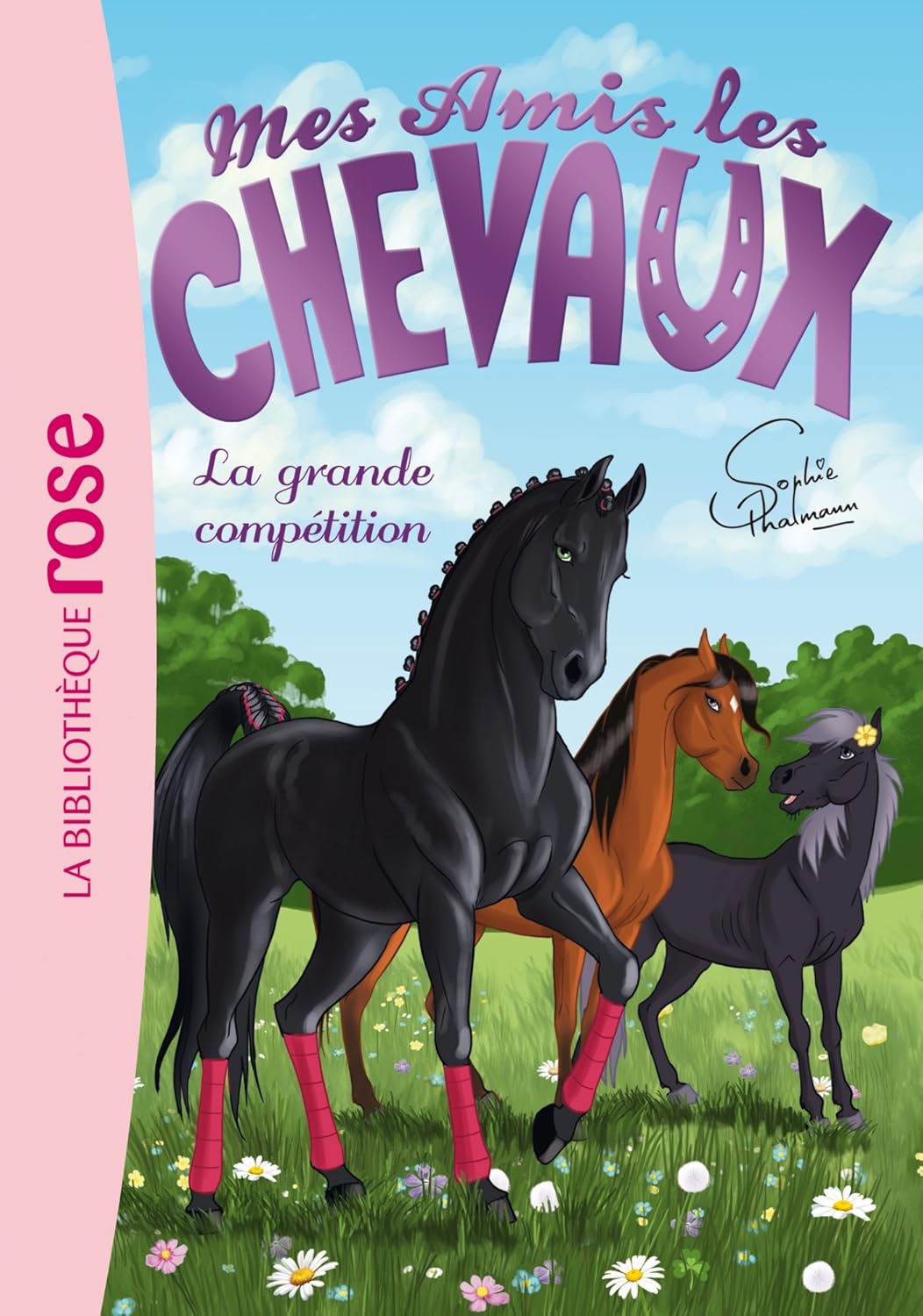Livre La grande compétition - Vivian French (Livre d'occasion)