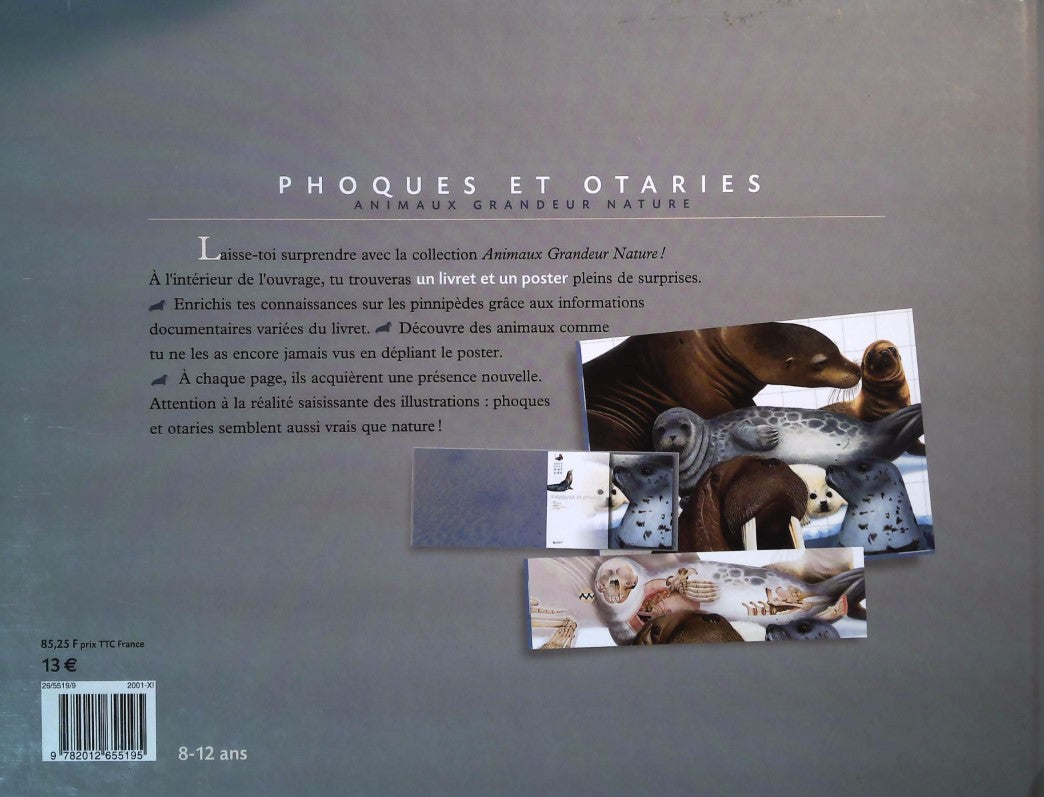 Livre Phoques et otaries - Marc Giraud (Livre d'occasion) - ISBN 201265519X