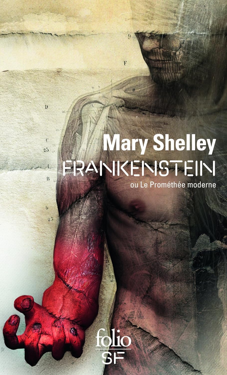 Livre Frankenstein - Mary Shelley (Livre d'occasion)
