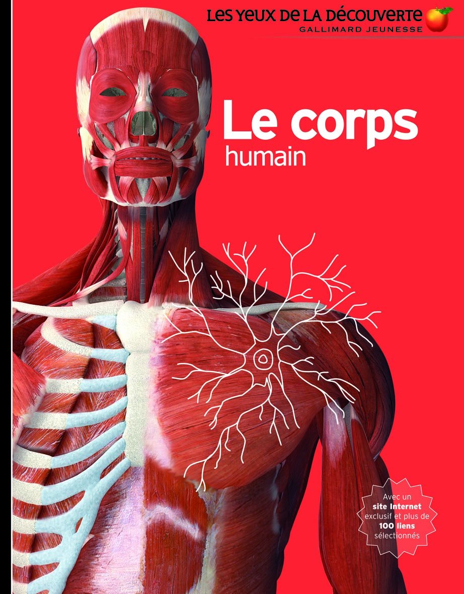 Livre Le corps humain - Collectif (Livre d'occasion) - ISBN 2070624048
