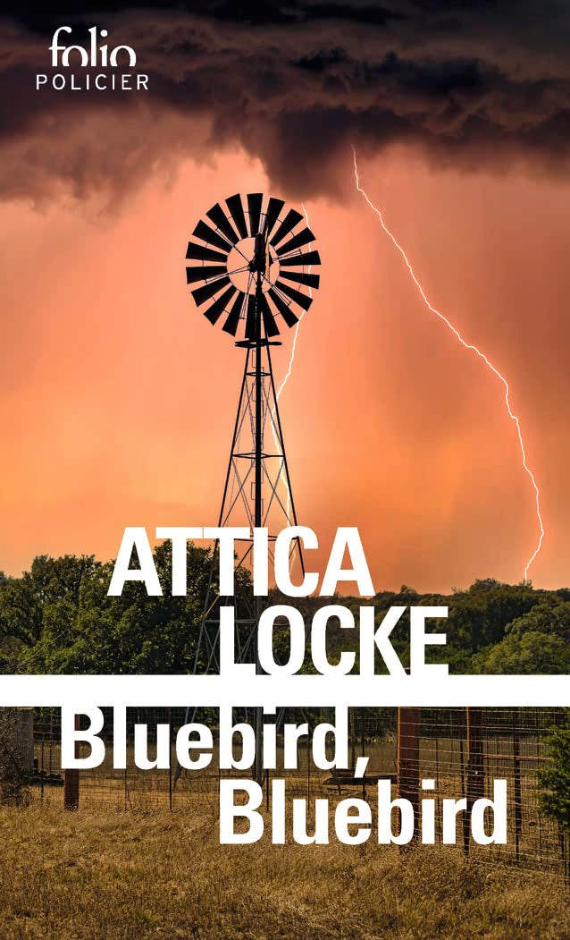 Livre Bluebird, Bluebird - Attica Locke (Livre d'occasion) - ISBN 2072965071