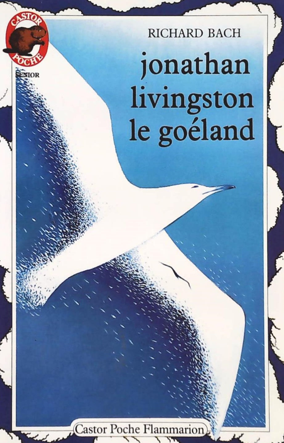 Livre Jonathan Livingston Le Goéland (Richard Bach) (Livre d'occasion) - ISBN 2081617145