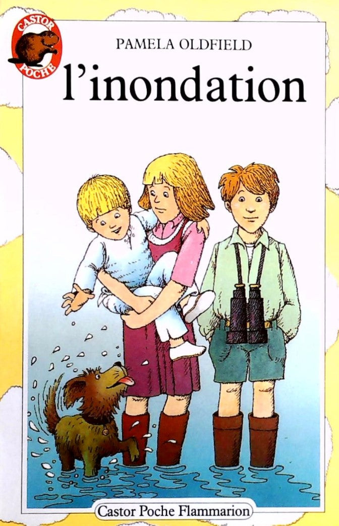 Livre L'inondation - Pamela Oldfield (Livre d'occasion) - ISBN 2081617315