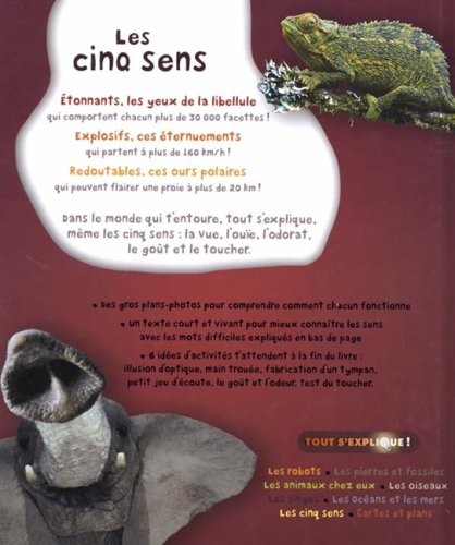 Tout s'explique! # 7 : Les cinq sens (Jinny Johnson)