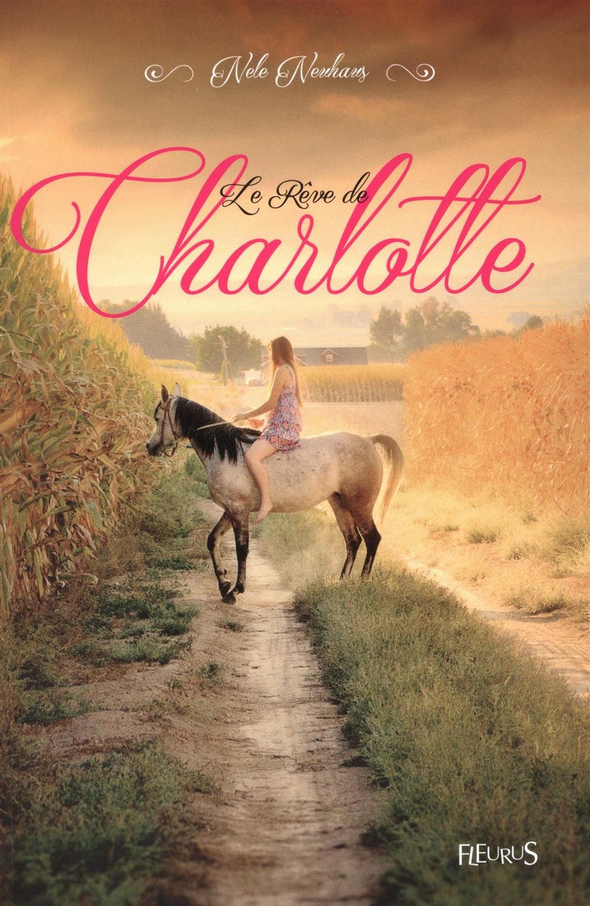 Livre Le rêve de charlotte (Nele Neuhaus) (Livre d'occasion) - ISBN 2215129328