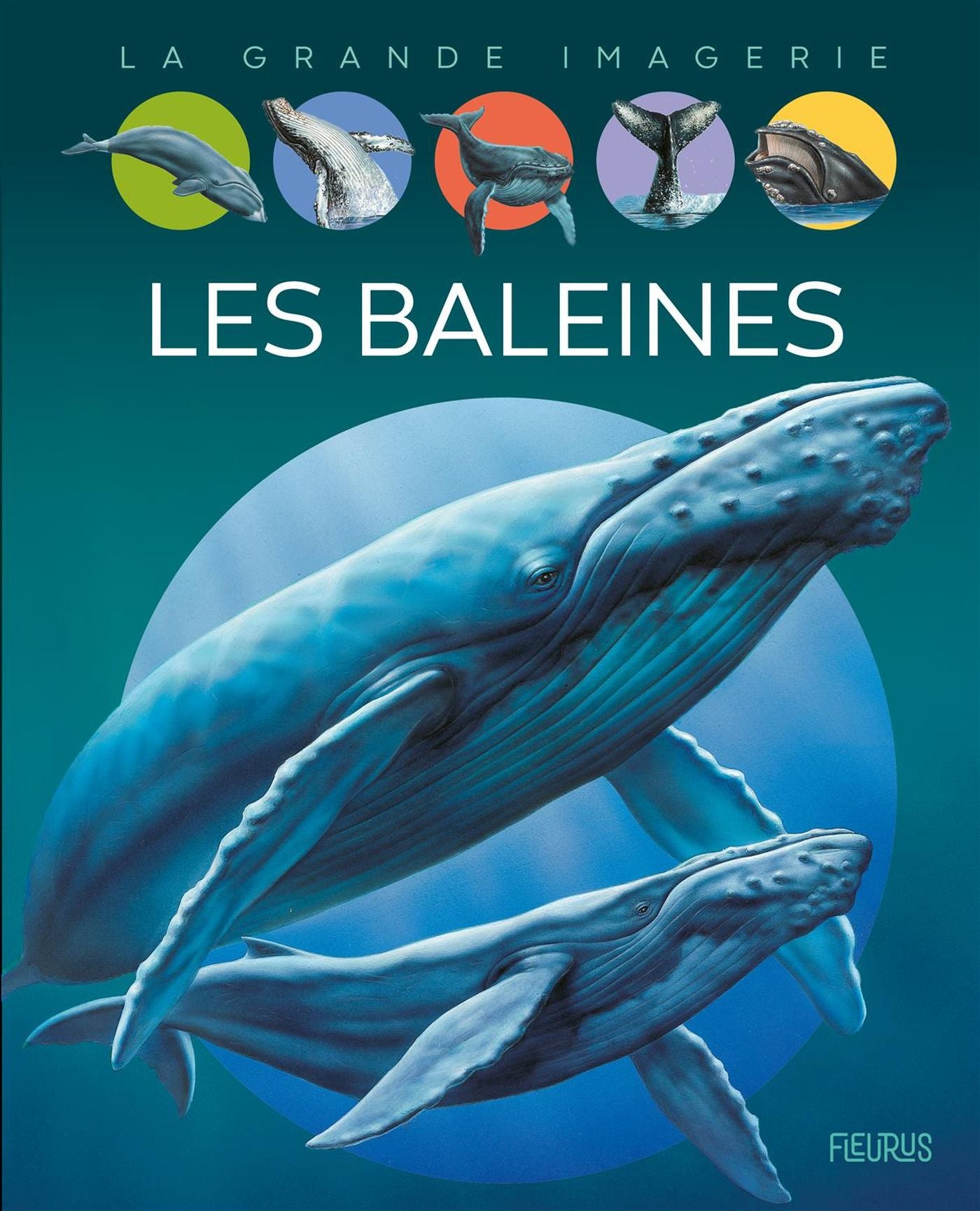 Livre Les baleines - Collectif (Livre d'occasion)