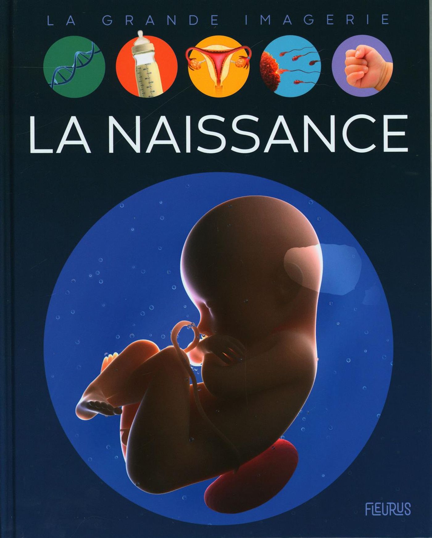 La grande imagerie : La naissance - Sylvie Deraime