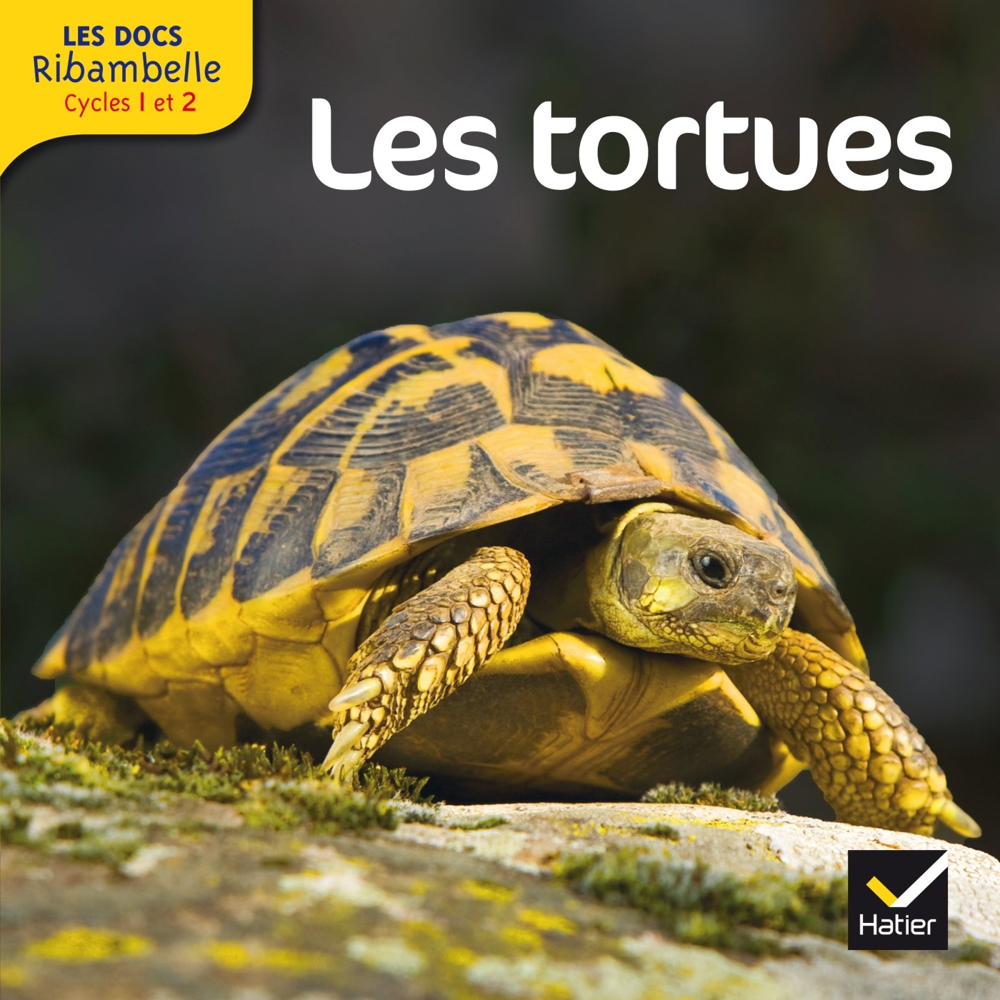 Livre Les tortues (Livre neuf) - ISBN 2218957337