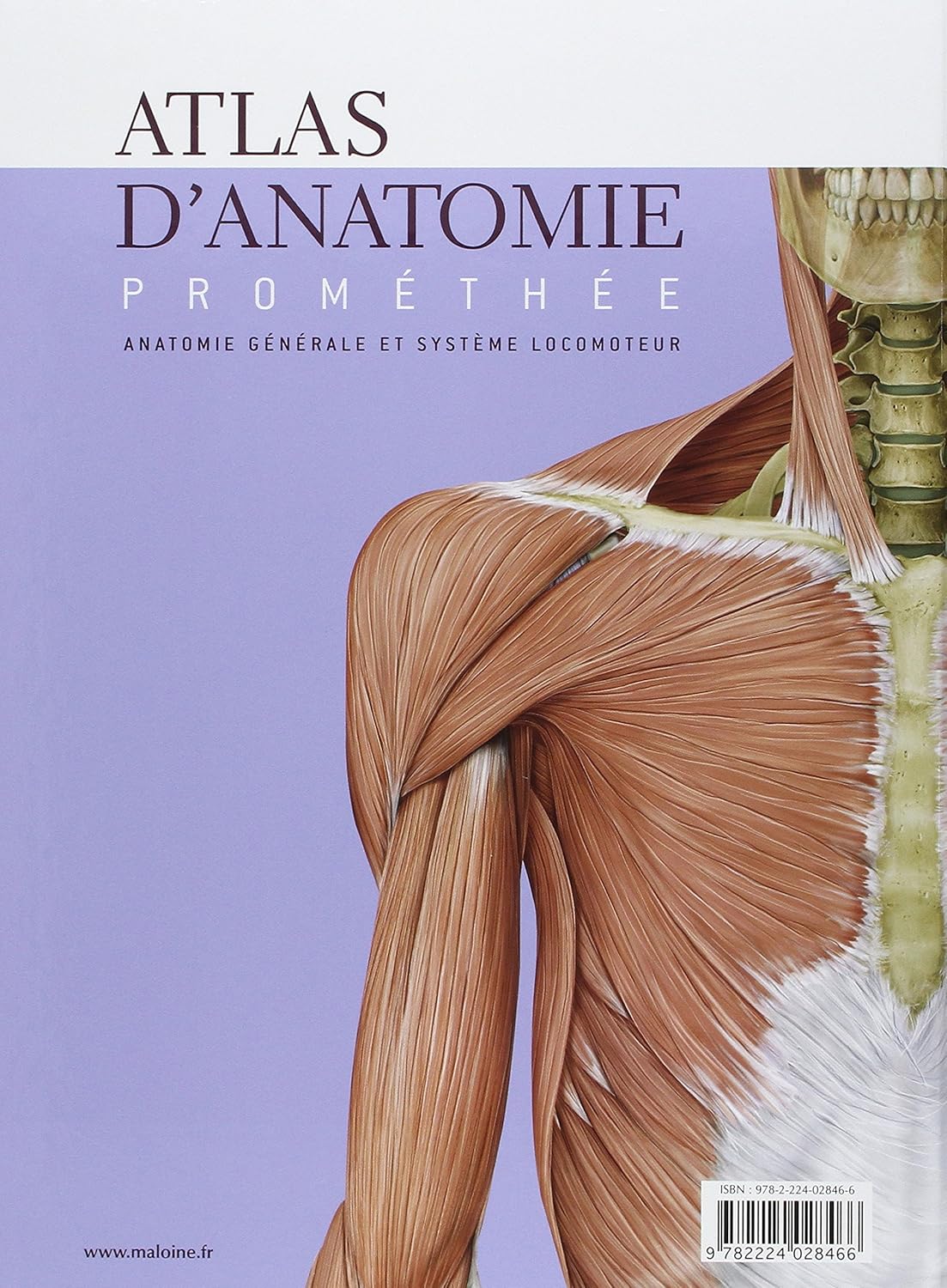 Livre Atlas d'anatomie Prométhée : Anatomie générale et système locomoteur - Collectif (Livre d'o...