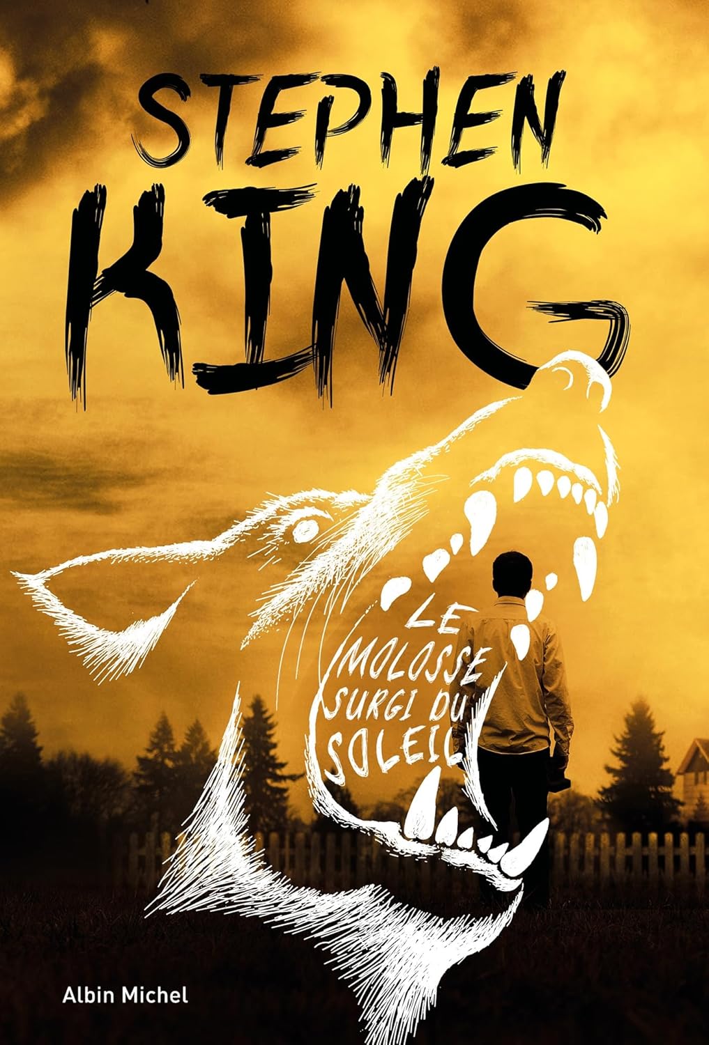 Livre Le Molosse surgi du soleil - Stephen King (Livre d'occasion) - ISBN 2226450637