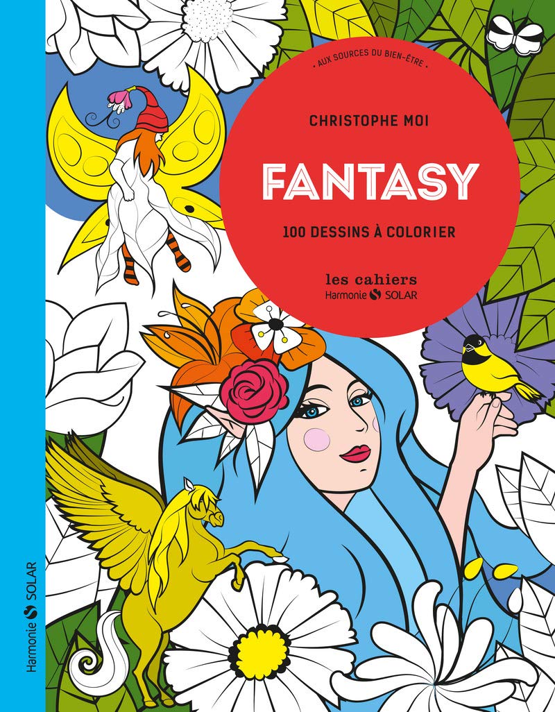 Livre Fantasy : 100 Dessins à colorier - Christophe Moi (Livre neuf) - ISBN 2263073256