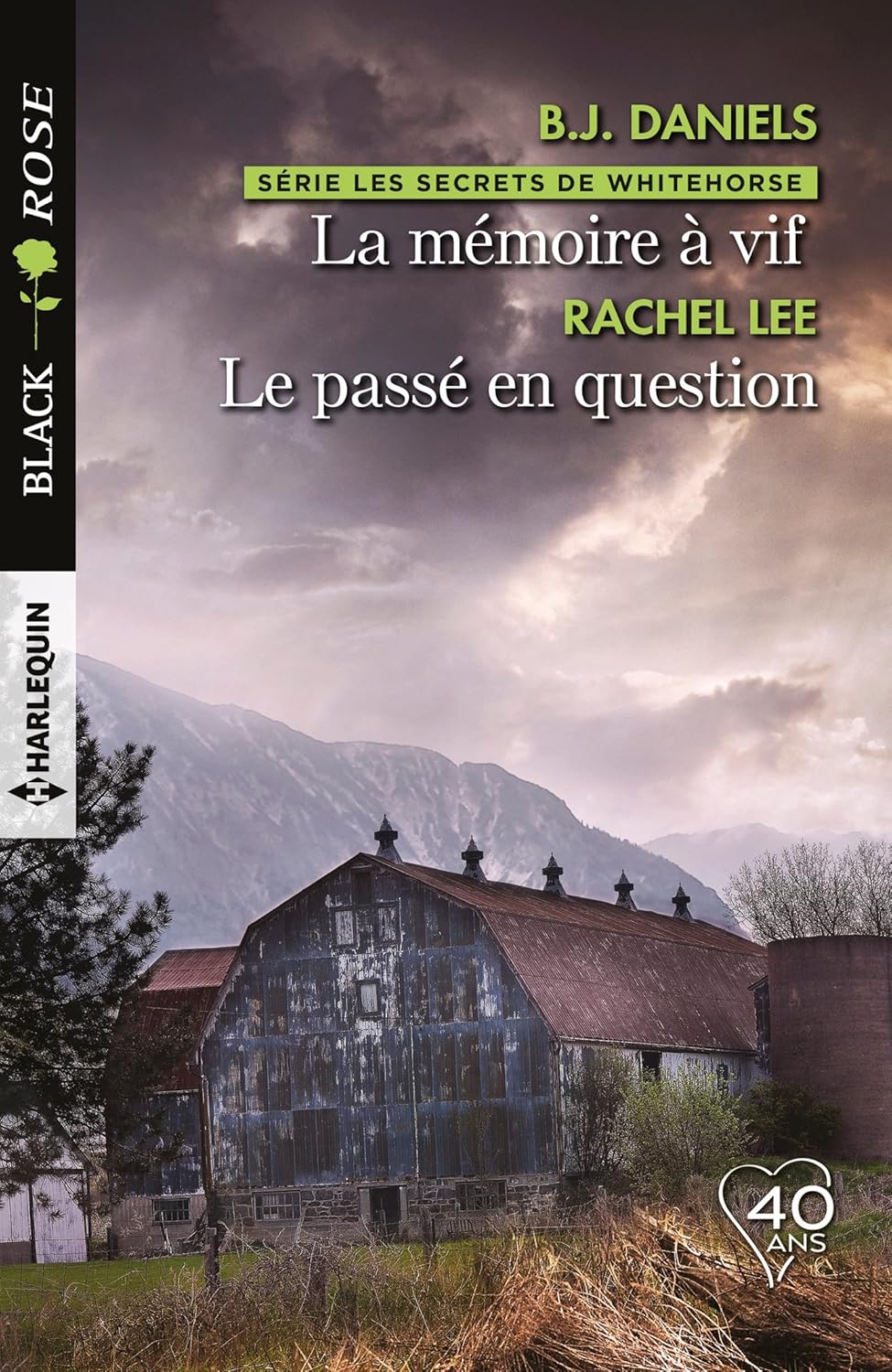 Livre La mémoire à vif - Le passé en question - B.J. Daniels (Livre d'occasion) - ISBN 2280382547