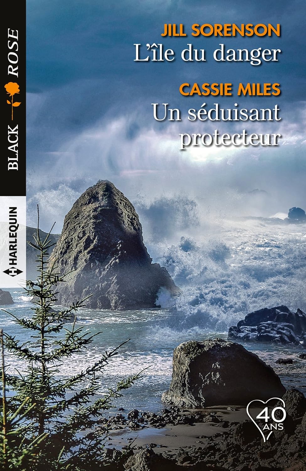 Livre L'île du danger - Un séduisant protecteur - Jill Sorenson (Livre d'occasion) - ISBN 2280382571