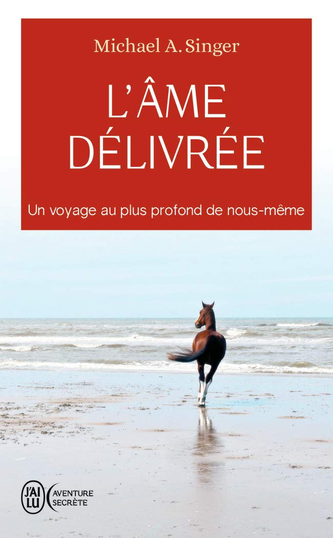 Aventure secrète : L'âme délivrée : un voyage au plus profond de nous-même - Michael Singer