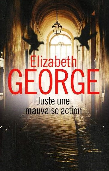Livre Juste une mauvaise action - Elizabeth George (Livre d'occasion) - ISBN 229810199X