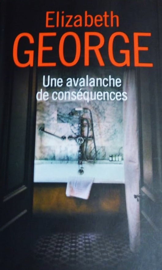 Livre Une avalanche de conséquences - Elizabeth George (Livre d'occasion) - ISBN 229813233X