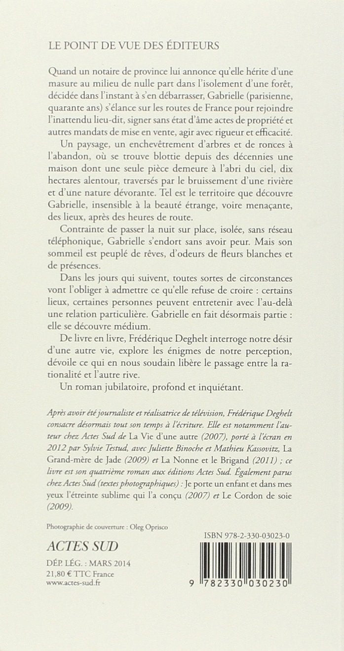 Les brumes de l'apparence (Frédérique Deghelt)