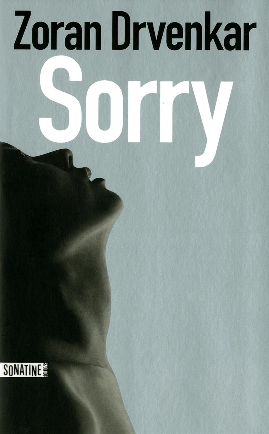 Sorry - Zoran Drvenkar