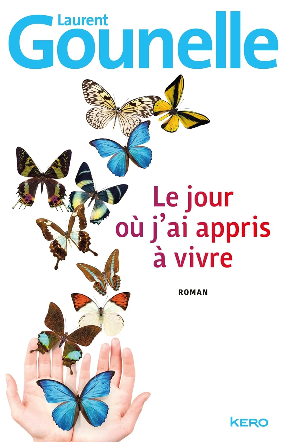 Livre Le jour ou j'ai appris à vivre - Laurent Gounelle (Livre neuf) - ISBN 2366580983