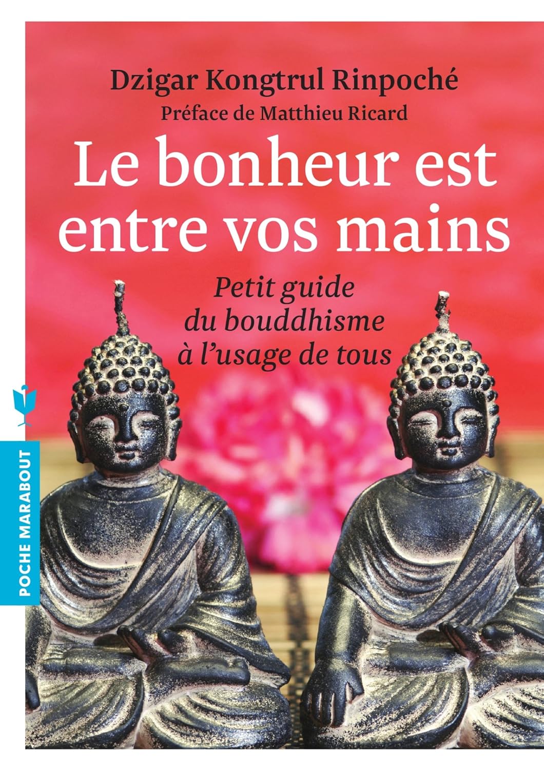 Livre Le bonheur est entre vos mains : Petit guide du bouddhisme à l'usage de tous - Dzigar Kongt...
