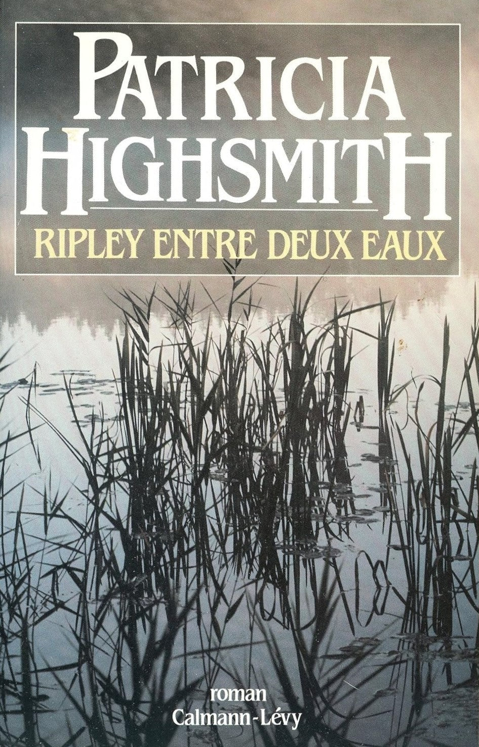 Livre Ripley entre deux eaux (Patricia Highsmith) (Livre d'occasion) - ISBN 2702120636
