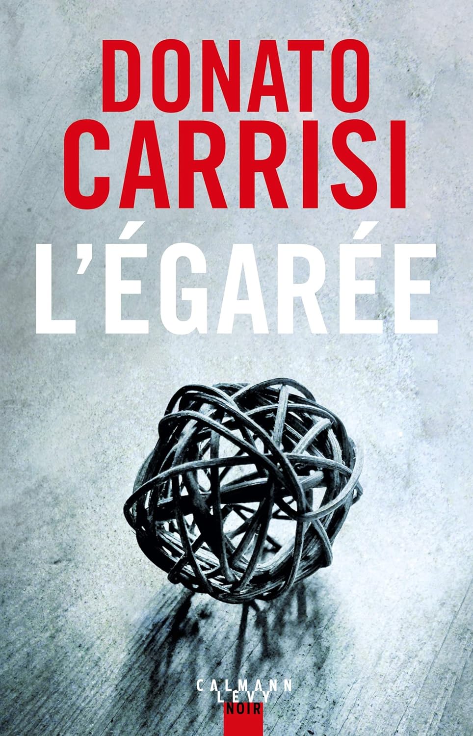Livre L'égarée (Donato Carrisi) (Livre neuf) - ISBN 2702157386