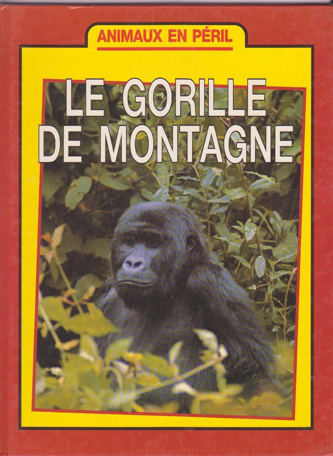 Animaux en péril : Le gorille de montagne