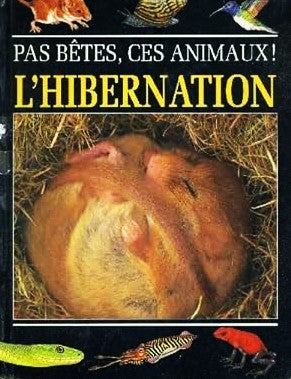 Livre L'hibernation (Livre d'occasion)
