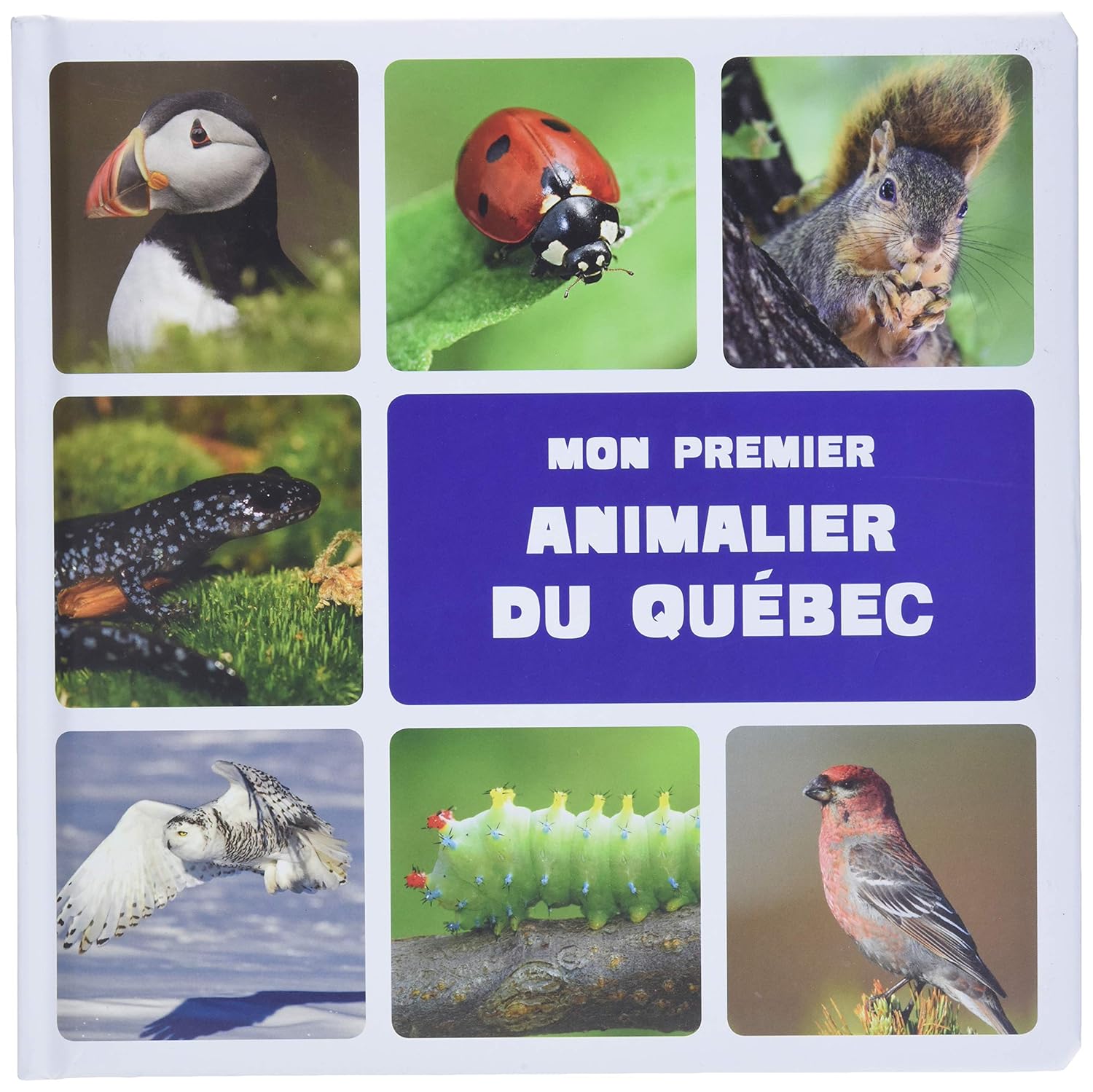 Livre Mon premier animalier du Québec - Collectif (Livre d'occasion) - ISBN 273387019X