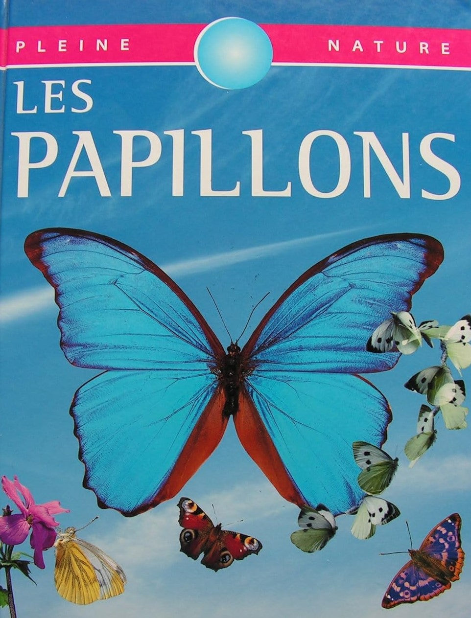 Livre Les papillons - Collectif (Livre d'occasion) - ISBN 2743415355
