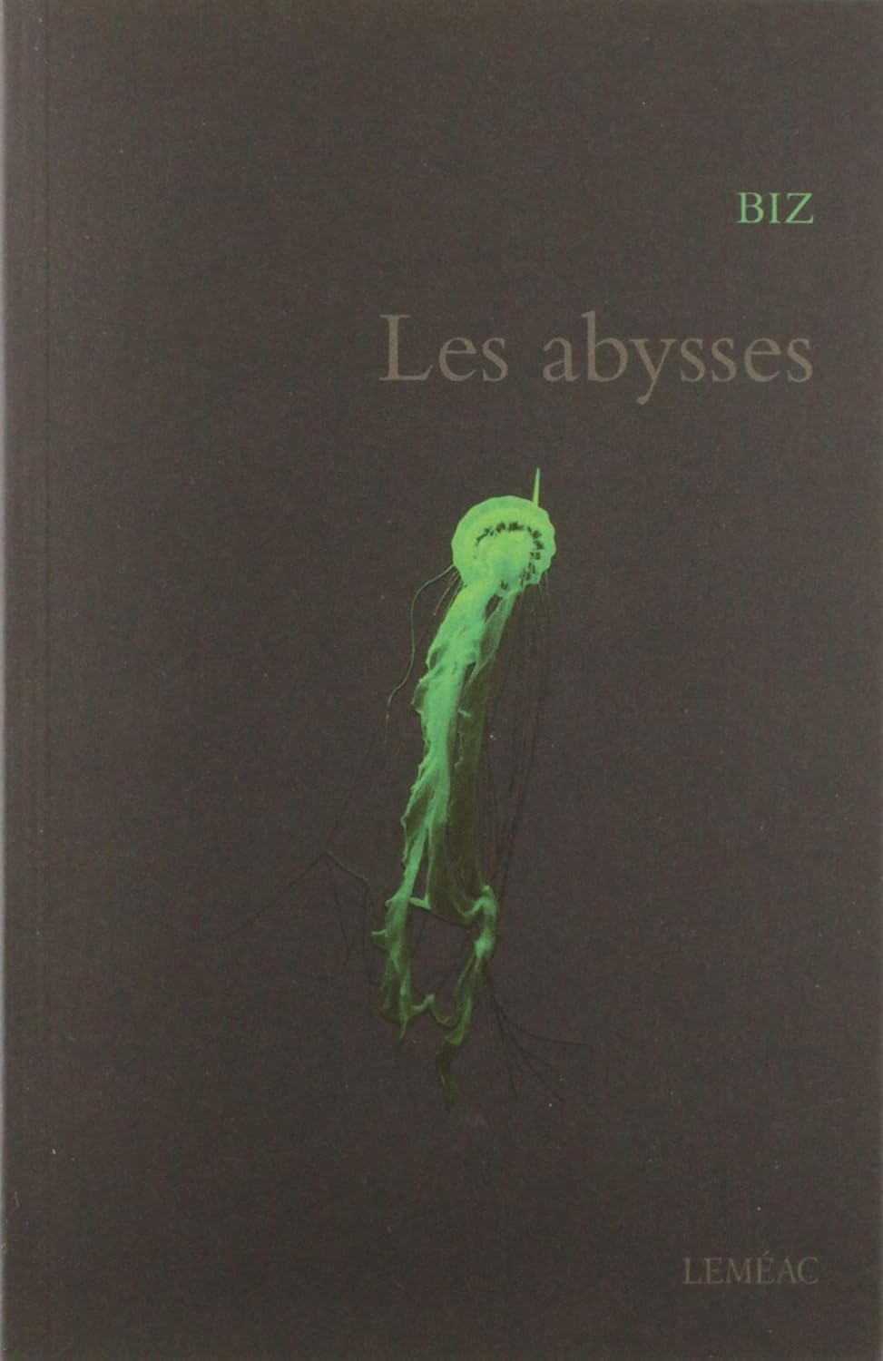 Livre Les abysses (Biz) (Livre d'occasion) - ISBN 2760904687
