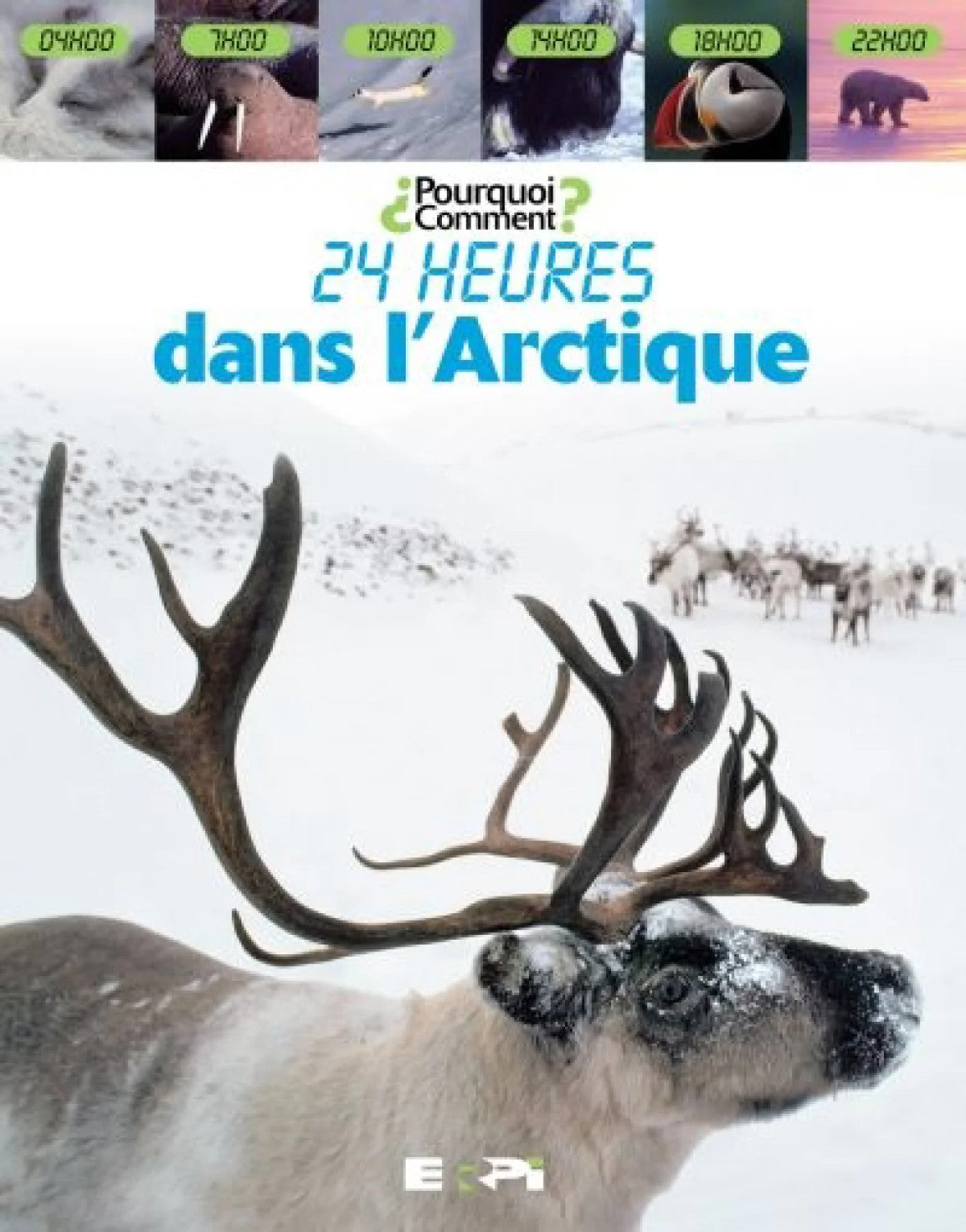 Livre 24 heures dans l'arctique (Lorrie Mack) (Livre d'occasion) - ISBN 2761324080