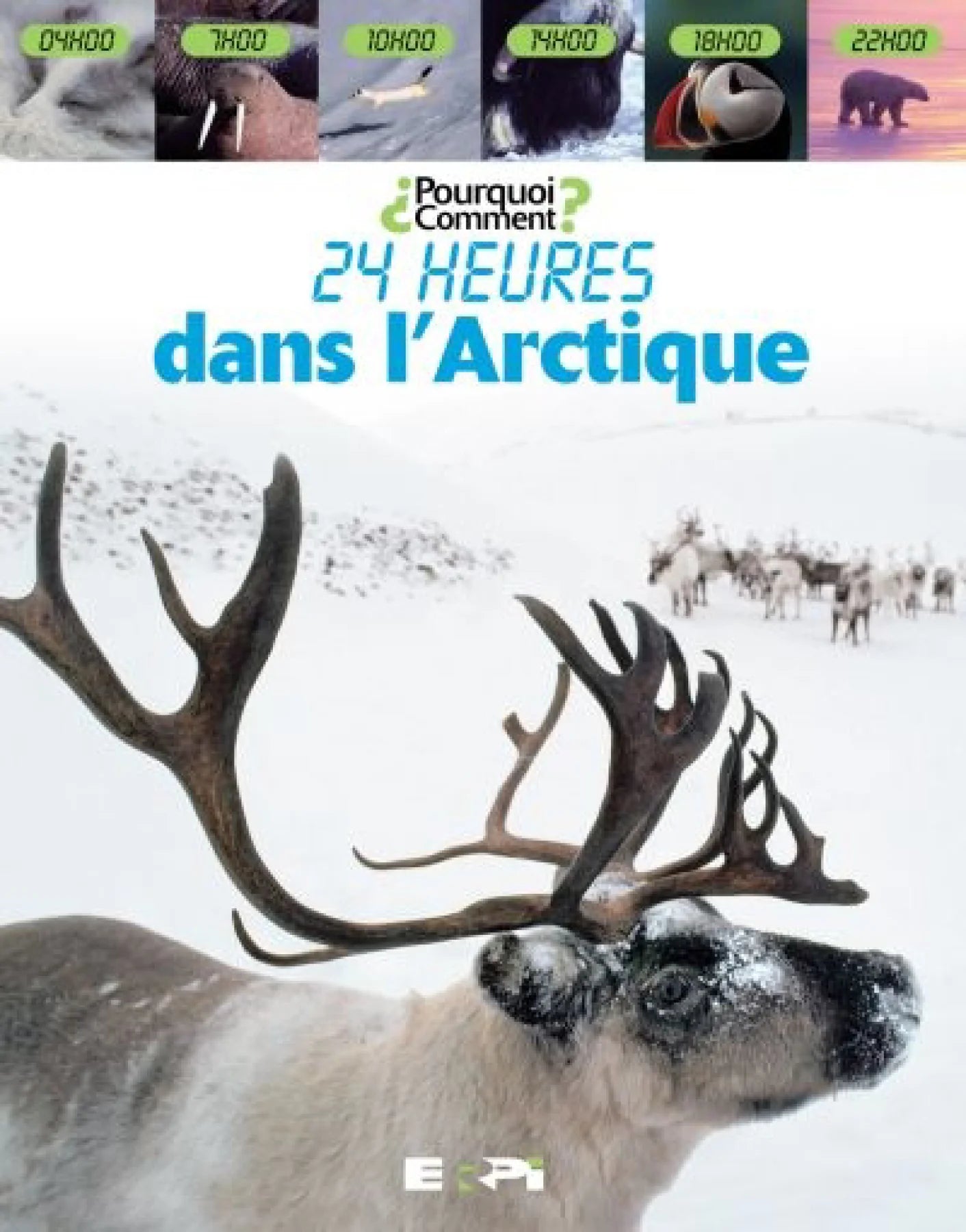 24 heures dans l'arctique (Lorrie Mack)