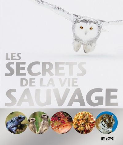 Livre Les secrets de la vie sauvage - David Burnie (Livre d'occasion) - ISBN 2761339622