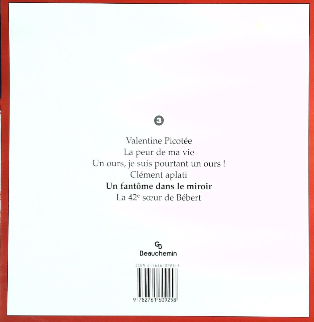 Livre Un fantôme dans le miroir - Marie-Francine Hébert (Livre d'occasion)
