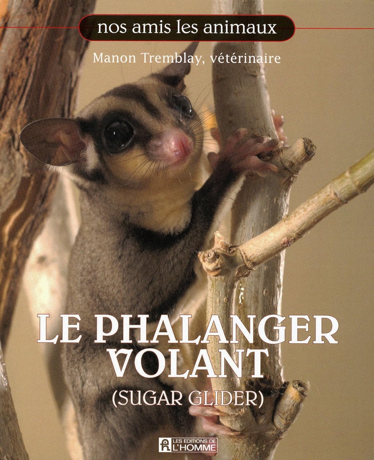 Livre La phalanger volant - Manon Tremblay (Livre d'occasion)