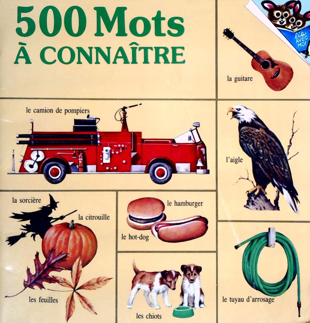 Livre 500 Mots à connaître (Livre d'occasion) - ISBN 2762551587