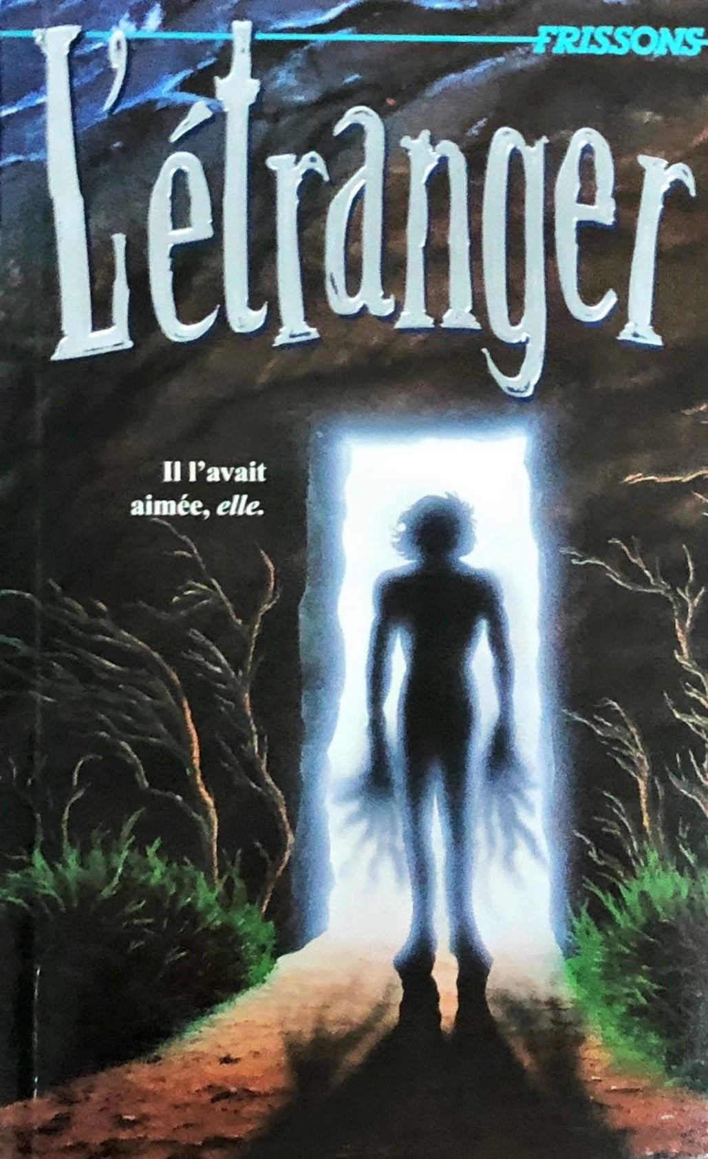 Frissons : L'étranger - Caroline B. Cooney